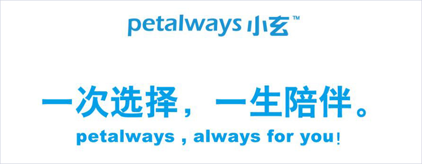 語言驅(qū)動(dòng)器